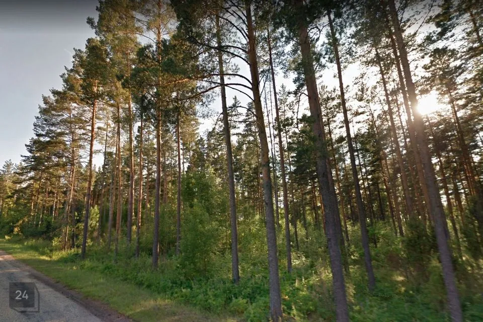 Maatulundusmaa, 31406 m² Maa  -  Setomaa vald, Väike-Rõsna küla - foto 3
