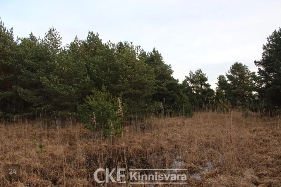 Maatulundusmaa участок в Saaremaa vald, Nasva alevik - фото 2