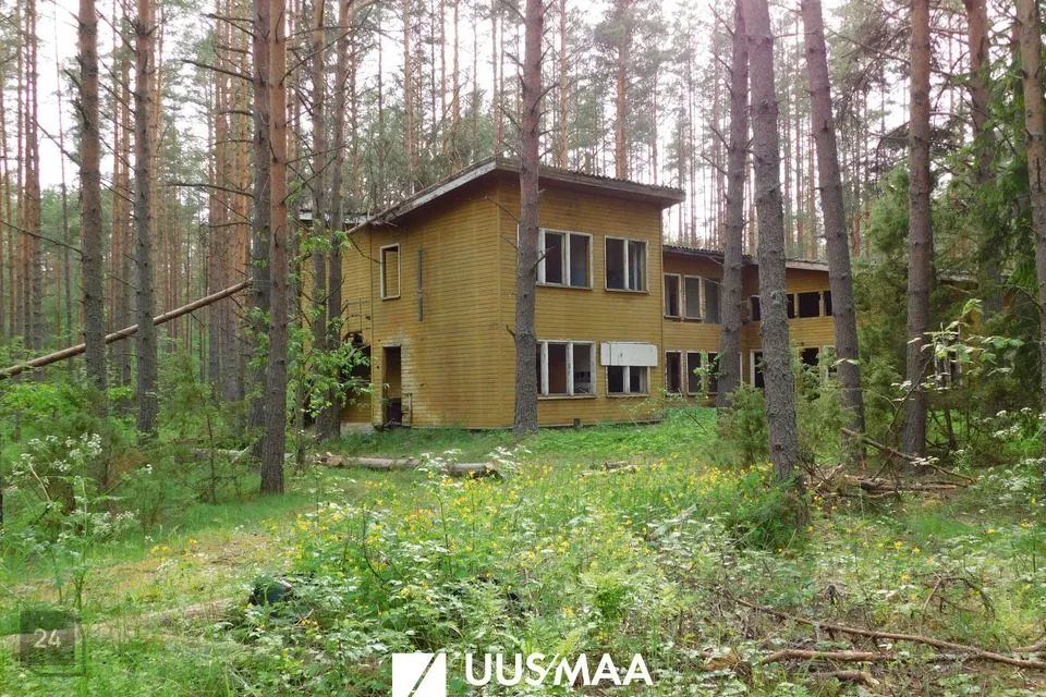 Ärimaa, 10704 m² Maa  -  Alutaguse vald, Alajõe küla - foto 3