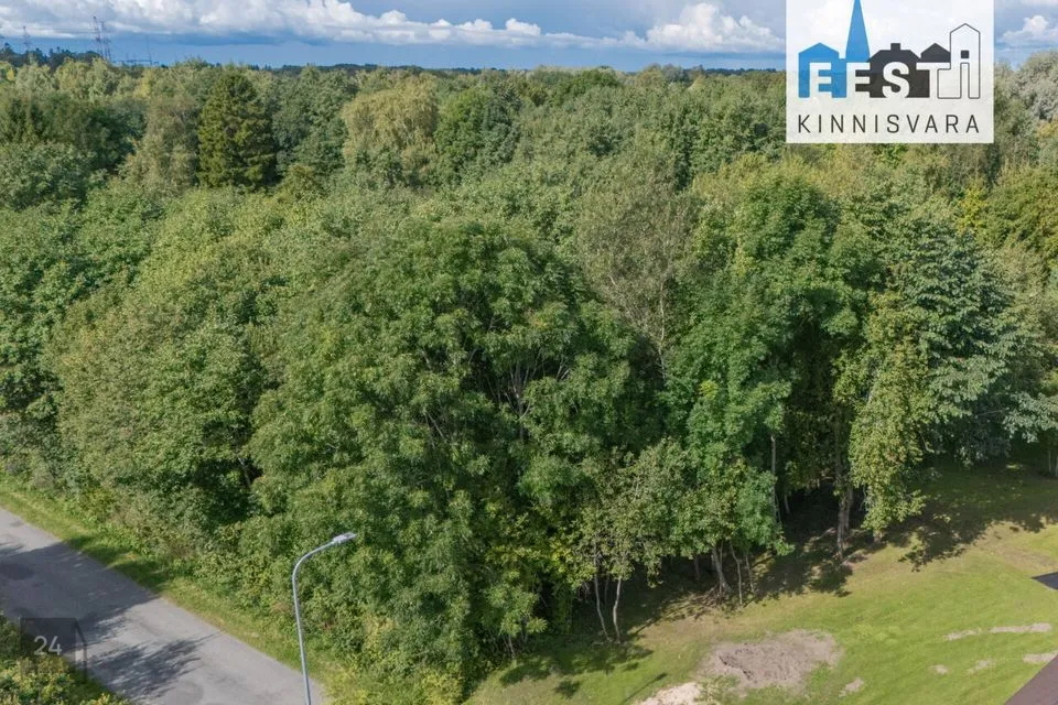 Земля жилой застройки, 2842 m² участок в Lääneranna vald, Lihula linn - фото 4