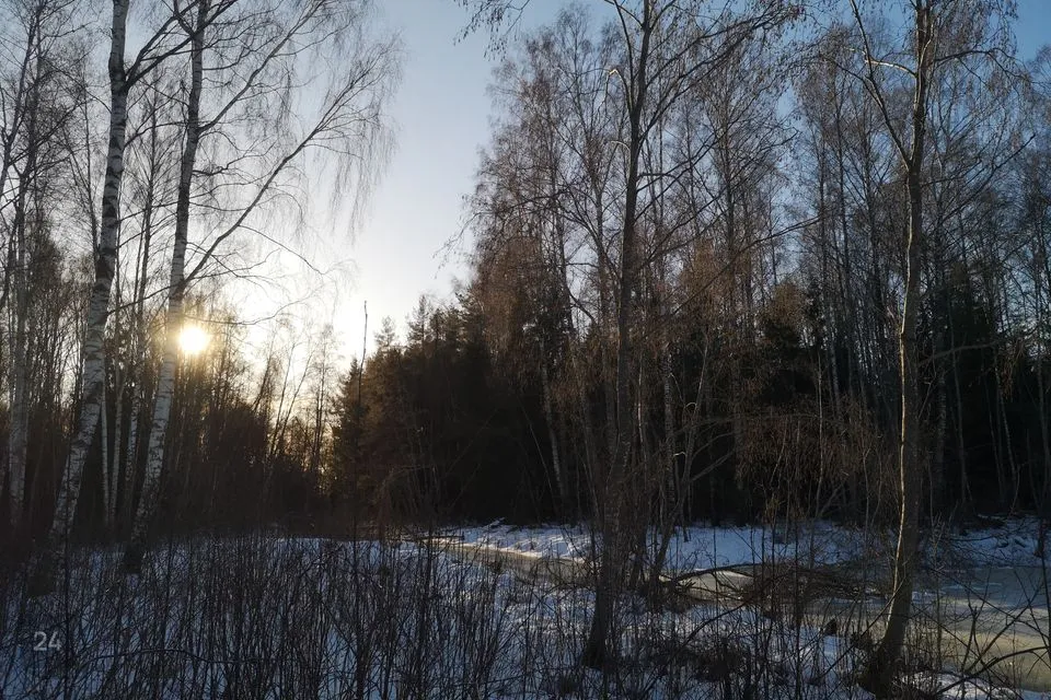 Maatulundusmaa, 119947 m² Maa  -  Jõgeva vald, Kudina küla - foto 5