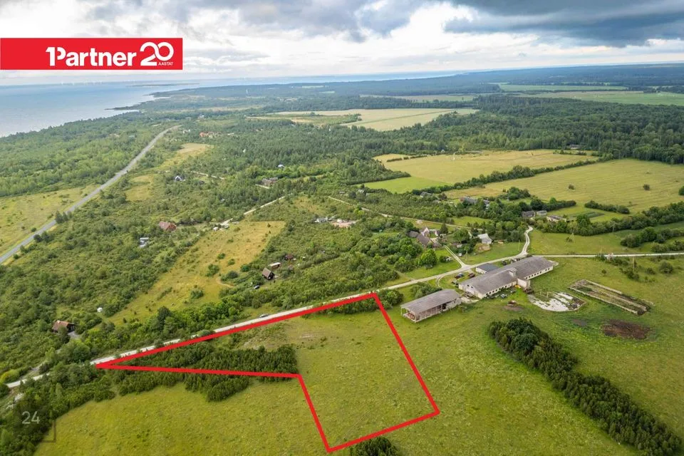 Maatulundusmaa, 10279 m² Maa  -  Muhu vald, Kallaste küla - foto 4