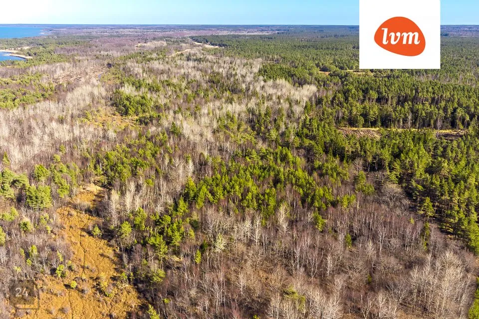 Maatulundusmaa участок в Saaremaa vald, Panga küla - фото 5