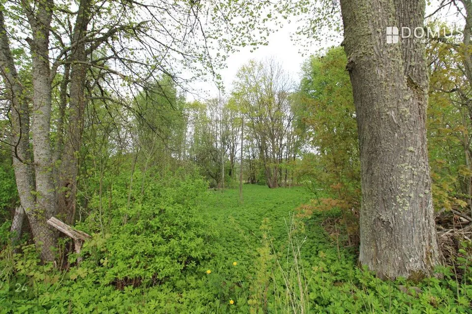 Maatulundusmaa, 20537 m² участок в Viljandi vald, Suislepa küla