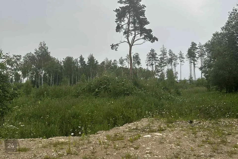 Elamumaa, 3867 m² Maa - Rapla vald, Tuti küla