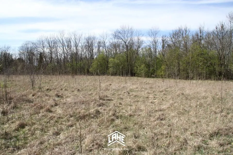 Elamumaa, 5536 m² Maa  -  Lääne-Nigula vald, Ingküla