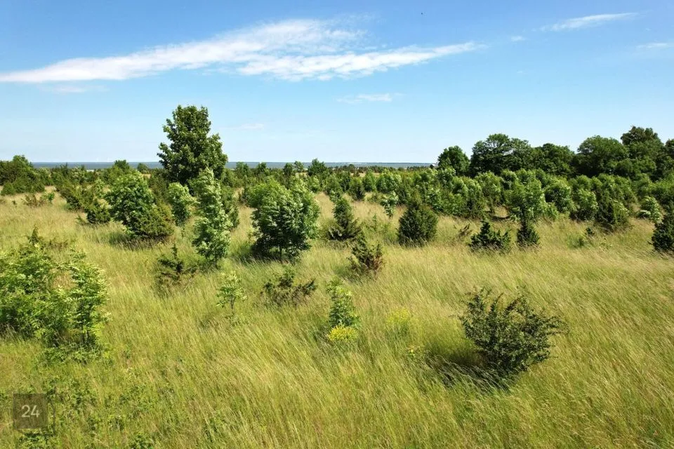 Земля жилой застройки, 9645 m² участок в Muhu vald, Võiküla