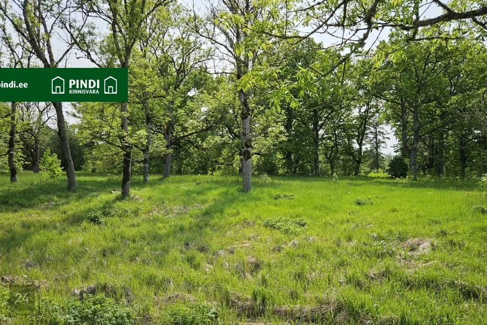 Maatulundusmaa, 16840 m² Maa - Märjamaa vald, Vana-Vigala küla - foto 2