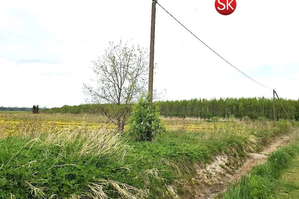 Земля жилой застройки, 5317 m² участок в Lääne-Nigula vald, Tahu küla / Skåtanäs - фото 3
