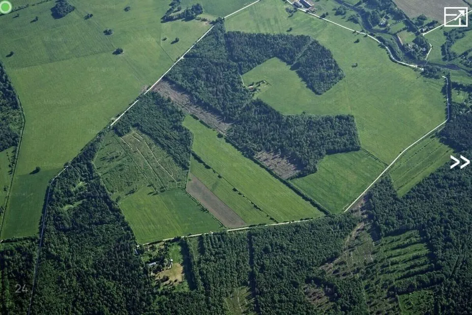 Maatulundusmaa, 127200 m² Maa  -  Märjamaa vald, Mõraste küla - foto 4