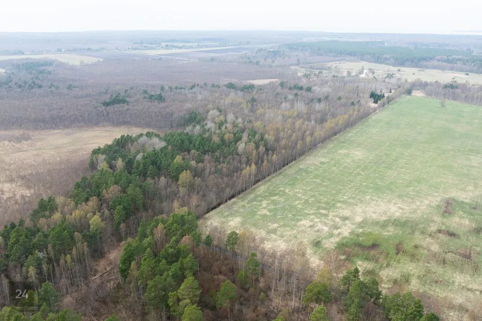 Elamumaa, 6151 m² Maa  -  Haapsalu linn, Vilkla küla - foto 3