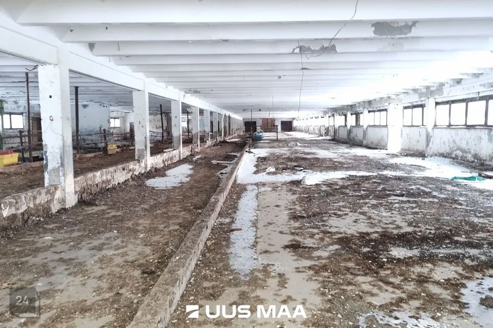 Земля производственного назначения, 21192 m² участок в Vinni vald, Aasuvälja küla - фото 3