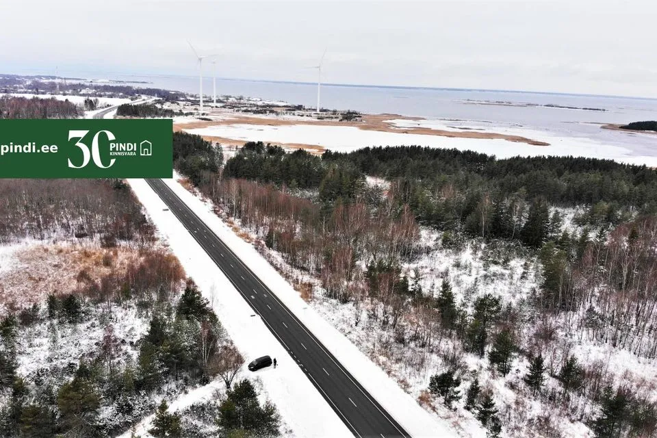 Maatulundusmaa, 98800 m² Maa  -  Lääneranna vald, Esivere küla - foto 4