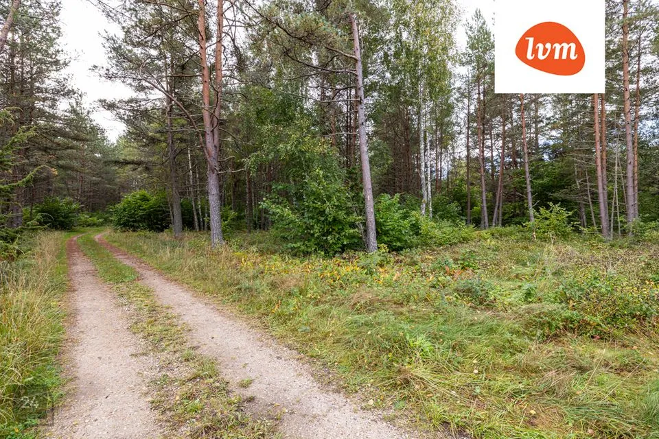 Maatulundusmaa, 59985 m² Maa  -  Lääne-Nigula vald, Telise küla / Tällnäs - foto 3