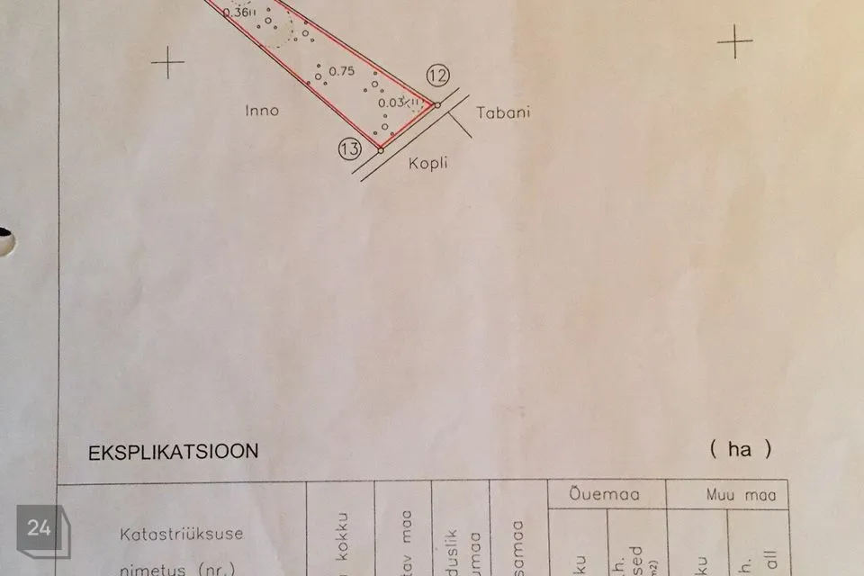 Sihtotstarbeta maa või Maatulundusmaa, 12101 m² Maa  -  Viimsi vald, Lääneotsa küla - foto 4
