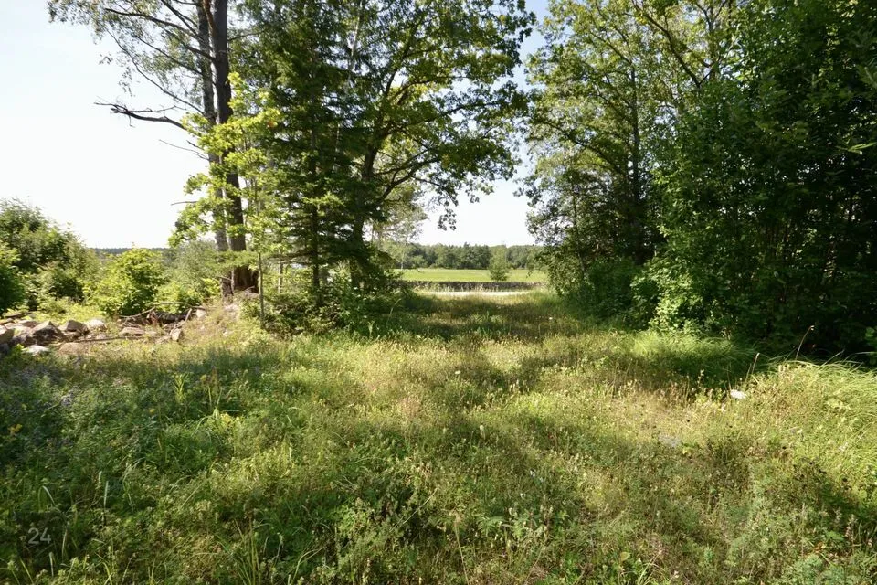 Elamumaa, 9482 m² Maa  -  Saaremaa vald, Roobaka küla - foto 2