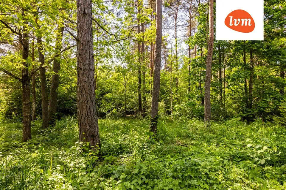 Elamumaa, 10208 m² Maa  -  Saku vald, Jälgimäe küla - foto 3