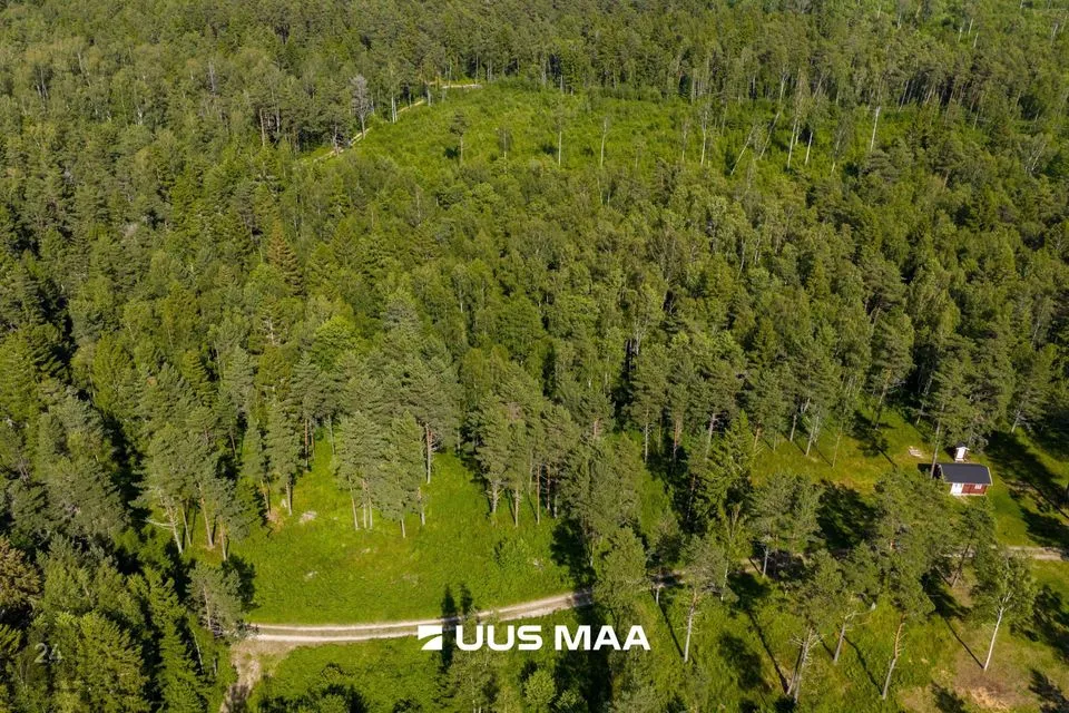 Maatulundusmaa, 5013 m² Maa  -  Lääne-Nigula vald, Elbiku küla / Ölbäck - foto 4
