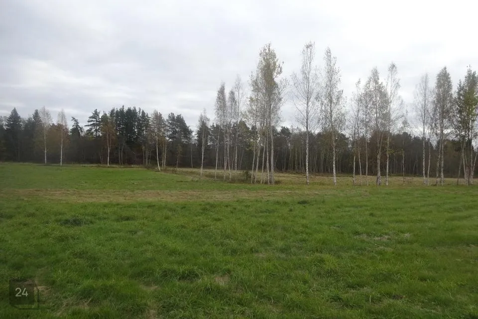 Maatulundusmaa, 131200 m² Maa - Häädemeeste vald, Reiu küla - foto 3