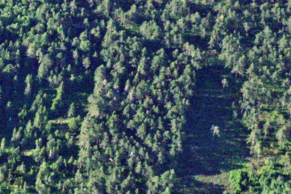 Maatulundusmaa, 20243 m² Maa  -  Lääne-Nigula vald, Höbringi küla / Höbring - foto 3