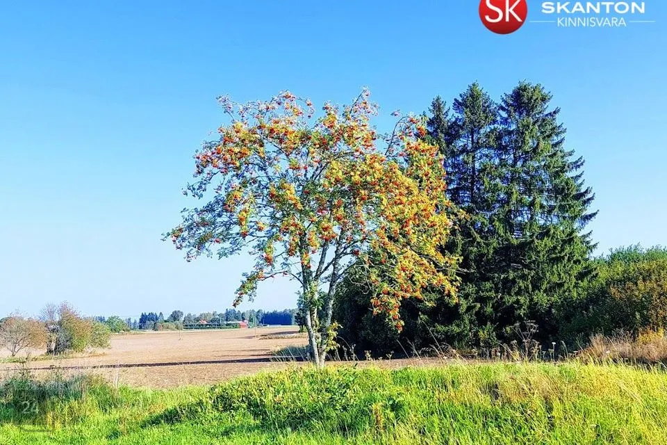 Elamumaa, 6751 m² Maa - Lääne-Nigula vald, Koluvere küla