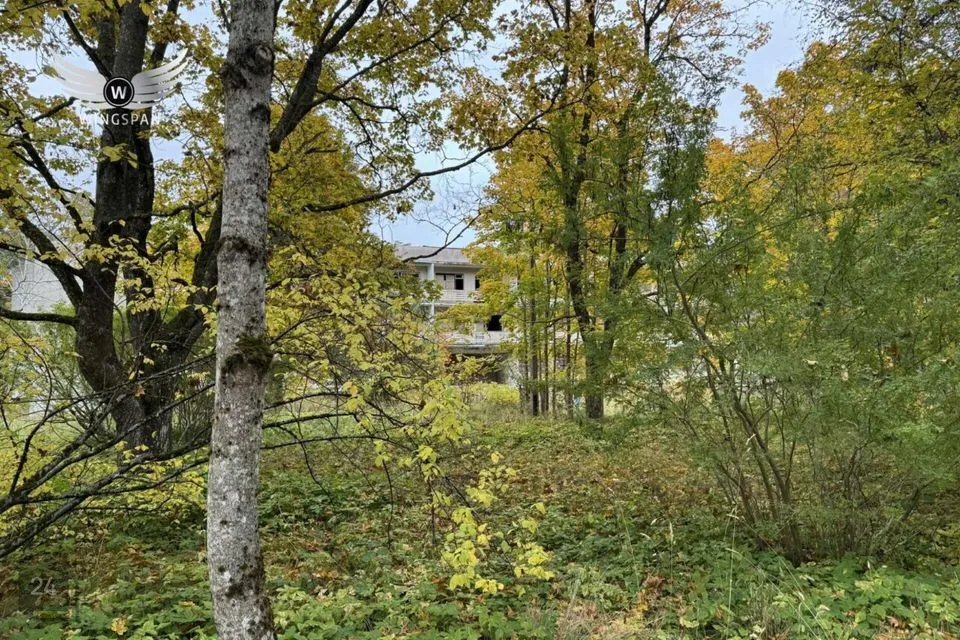 Ärimaa, 7803 m² Maa  -  Narva-Jõesuu linn, Narva-Jõesuu linn - foto 5