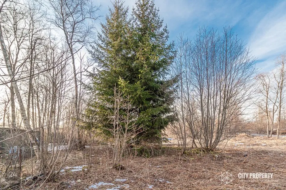 Maatulundusmaa, 868 m² участок в Jõelähtme vald, Kallavere küla - фото 5
