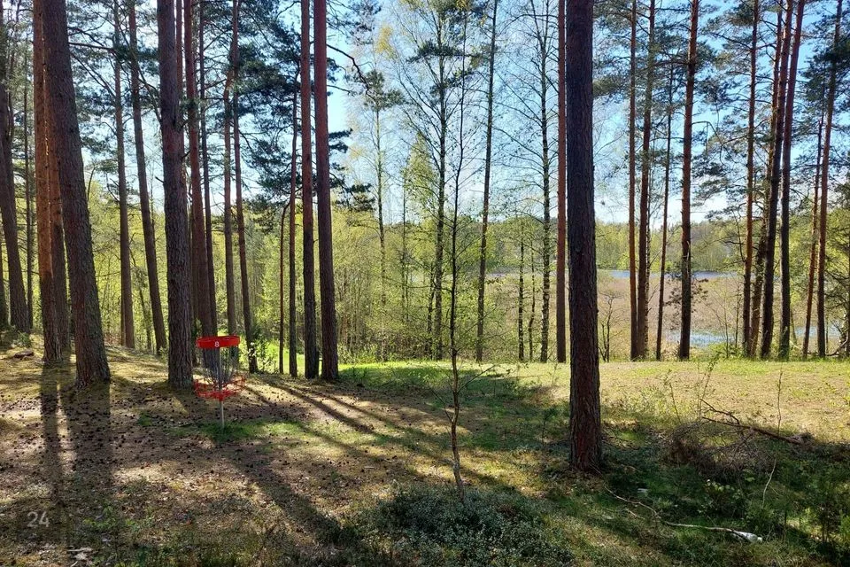 Maatulundusmaa, 64294 m² Maa - Setomaa vald, Värska alevik - foto 3