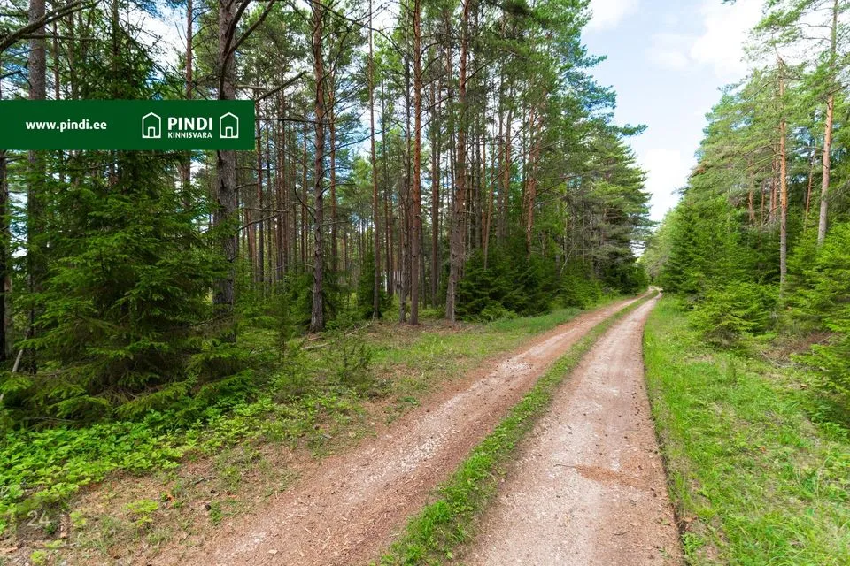 Земля жилой застройки, 10684 m² участок в Lääne-Nigula vald, Elbiku küla / Ölbäck - фото 2