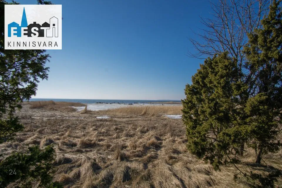 Maatulundusmaa, 370390 m² Maa  -  Lääneranna vald, Esivere küla - foto 4