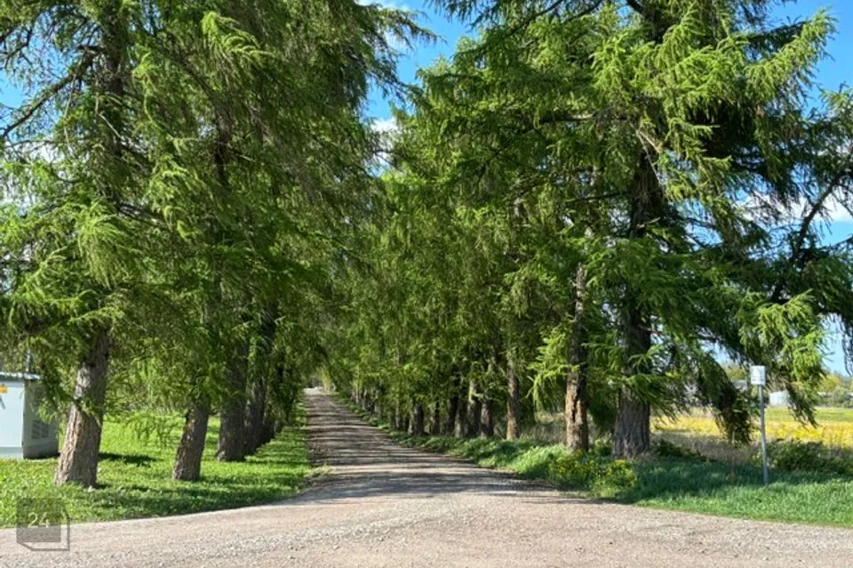 Земля жилой застройки, 10000 m² участок в Raasiku vald, Igavere küla - фото 4