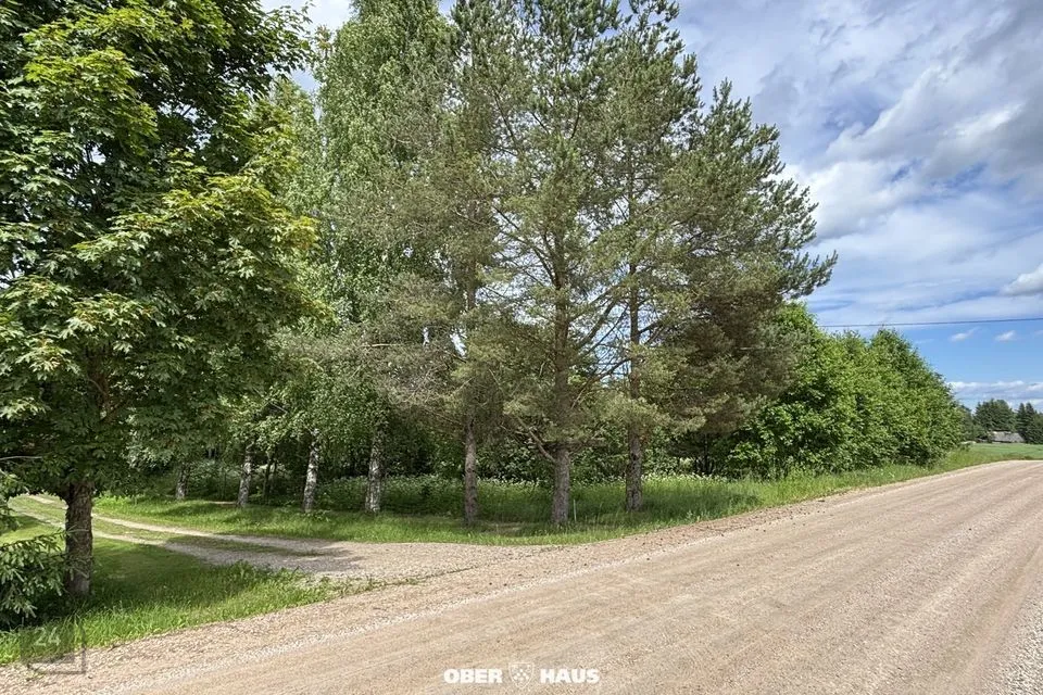 Maatulundusmaa, 48925 m² Maa - Kanepi vald, Tuulemäe küla - foto 2