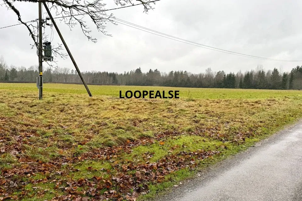 Maatulundusmaa, 27219 m² Maa  -  Anija vald, Looküla - foto 3