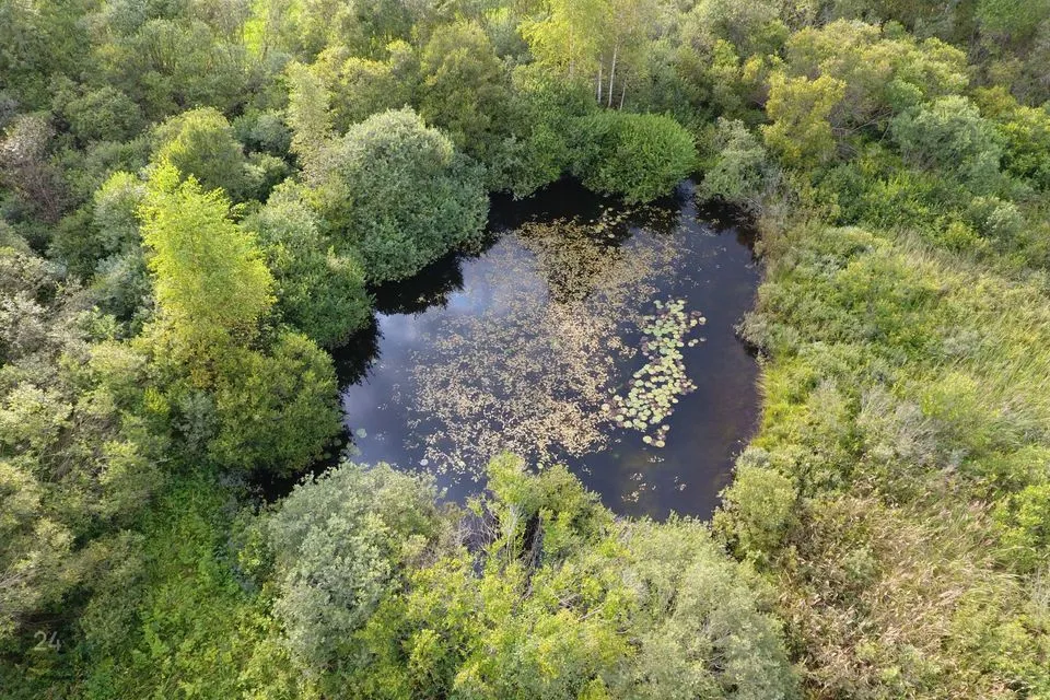 71 m² Maja  -  Rõuge vald, Mäe-Palo küla - foto 3