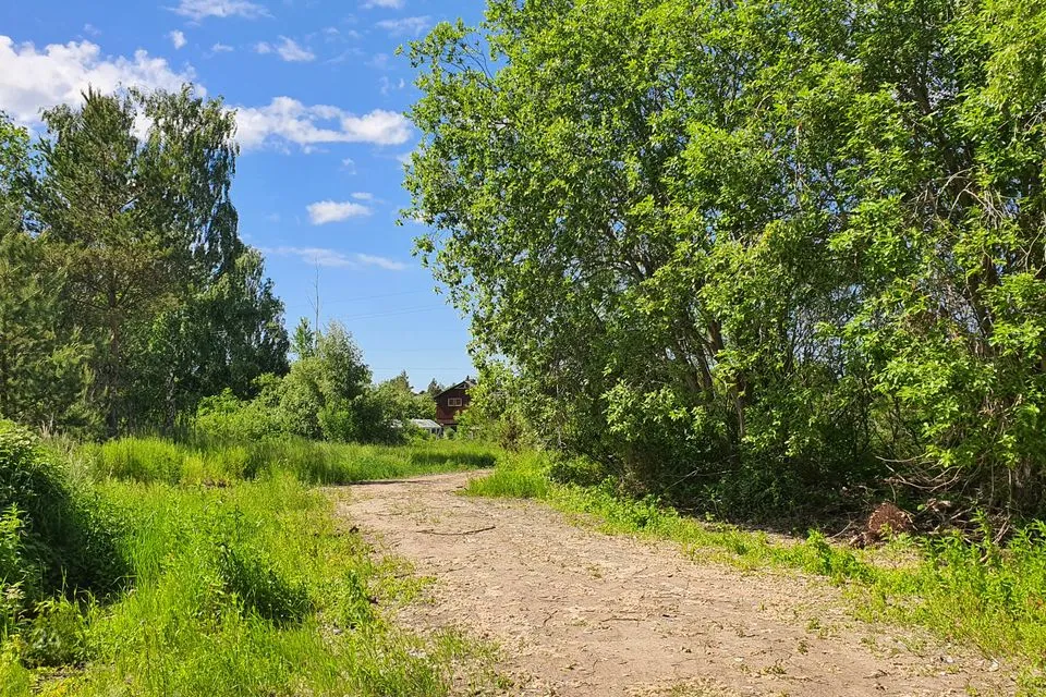 Elamumaa, 3802 m² Maa - Harku vald, Türisalu küla - foto 5