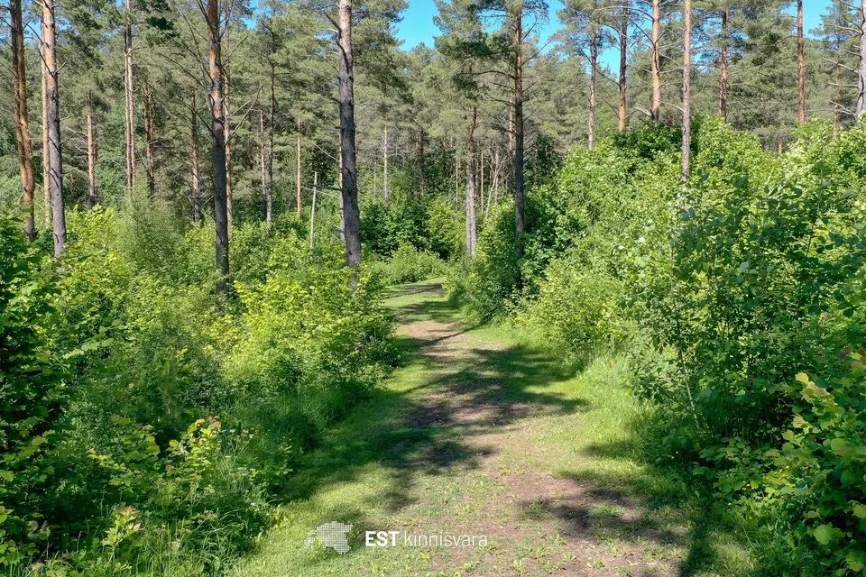 Maatulundusmaa, 66131 m² участок в Saaremaa vald, Valjala alevik
