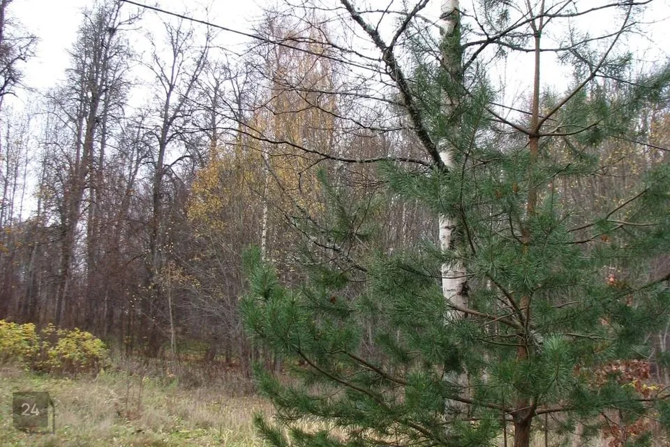 Elamumaa, 2055 m² Maa  -  Peipsiääre vald, Alatskivi alevik - foto 5