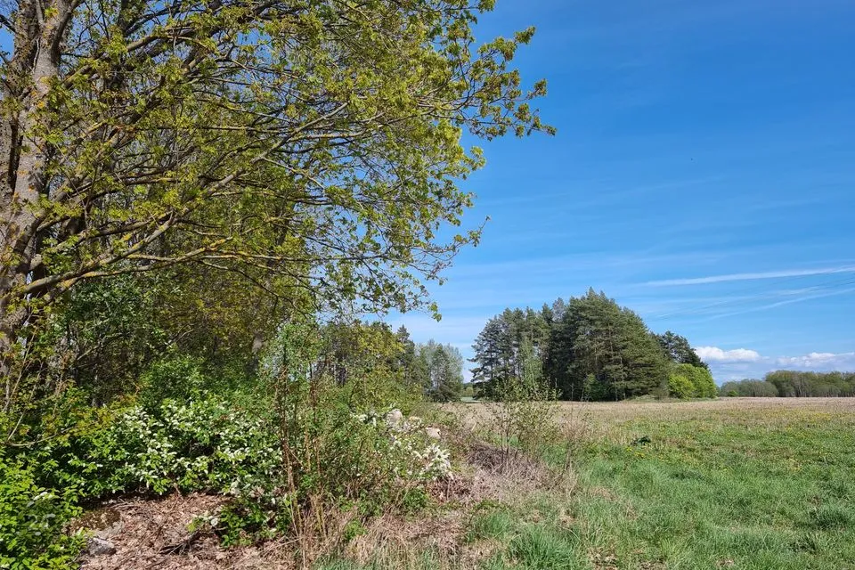 Maatulundusmaa, 21263 m² Maa  -  Lääne-Nigula vald, Uugla küla - foto 2