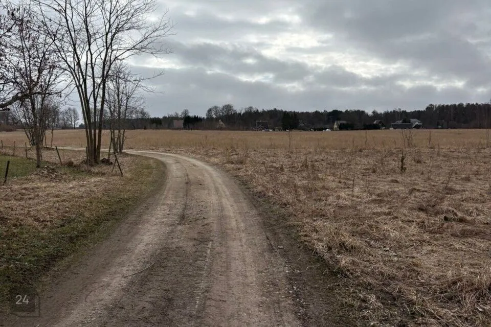 Maatulundusmaa, 78291 m² Maa  -  Muhu vald, Hellamaa küla - foto 2