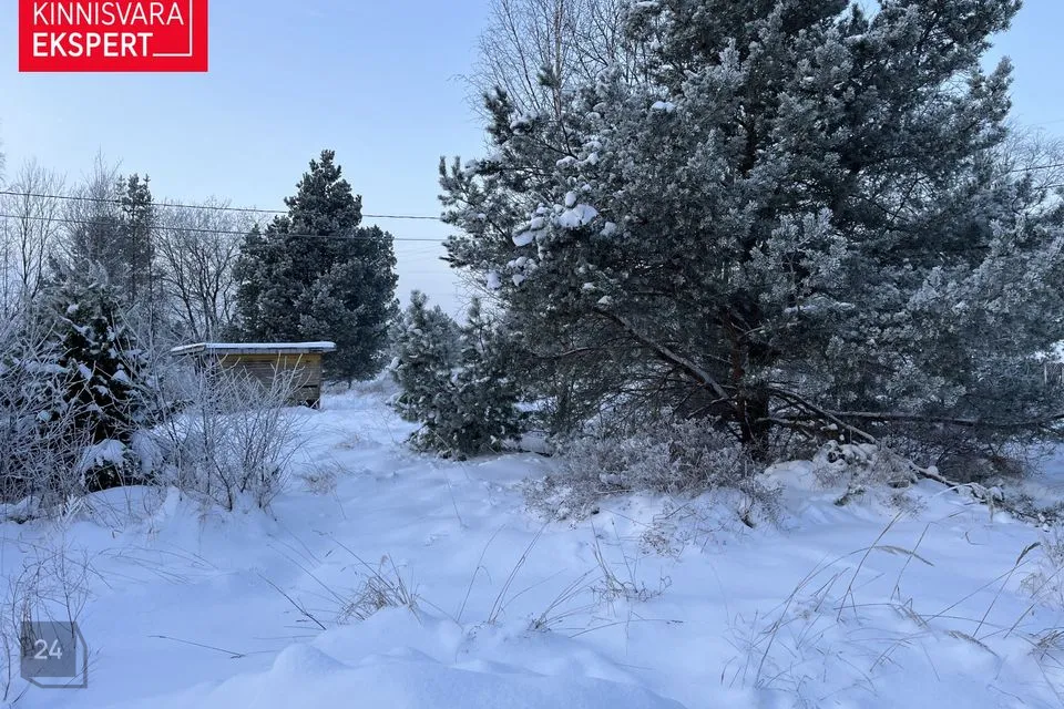 Elamumaa, 772 m² Maa - Harku vald, Türisalu küla - foto 3