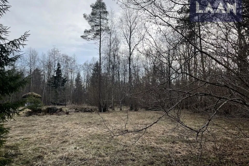 Elamumaa, 3541 m² Maa  -  Kiili vald, Lähtse küla - foto 5