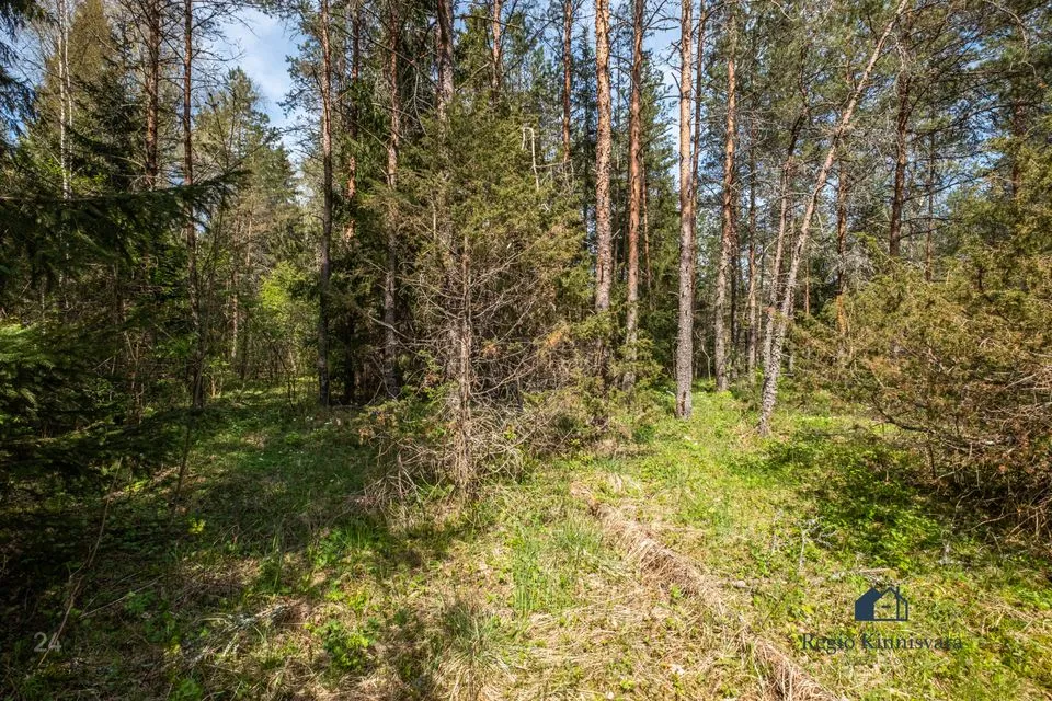 Maatulundusmaa, 10113 m² участок в Lääne-Harju vald, Maeru küla - фото 4