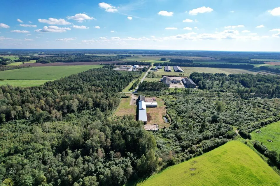 1837 m² Äripind  -  Põhja-Pärnumaa vald, Langerma küla - foto 4