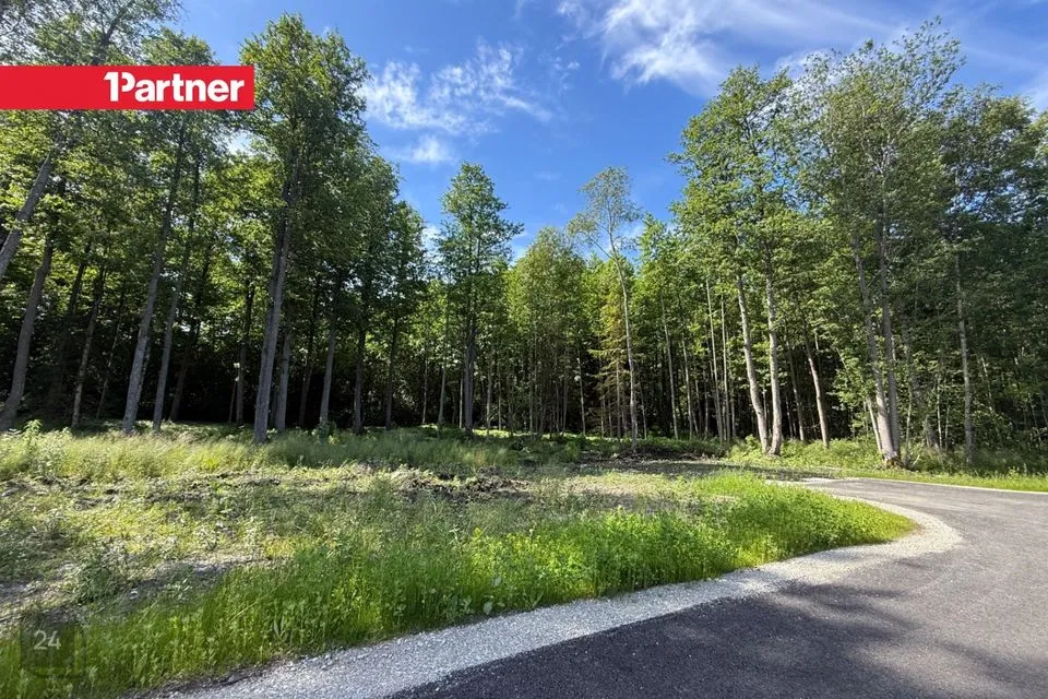 Elamumaa, 4119 m² Maa  -  Harku vald, Suurupi küla - foto 4