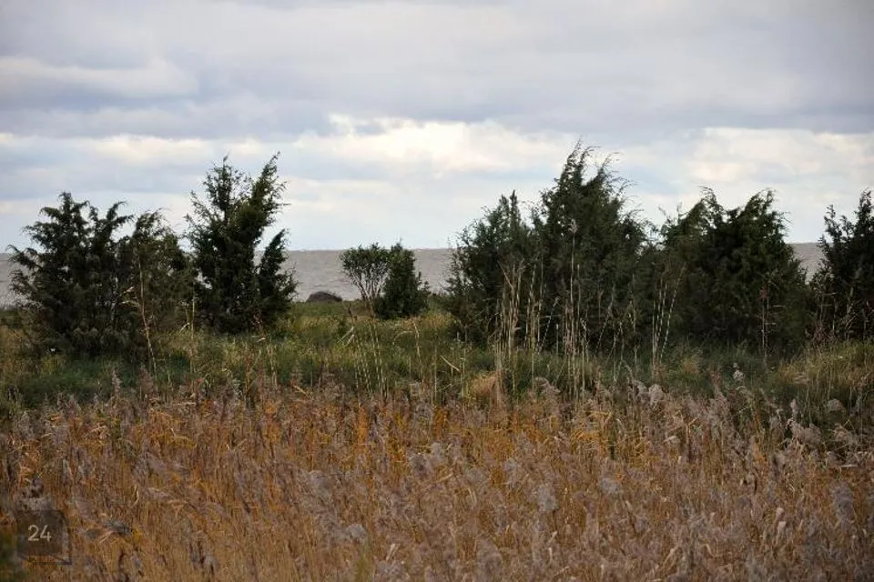 6053 m² Maa - Lääne-Nigula vald, Hara küla / Harga - foto 5