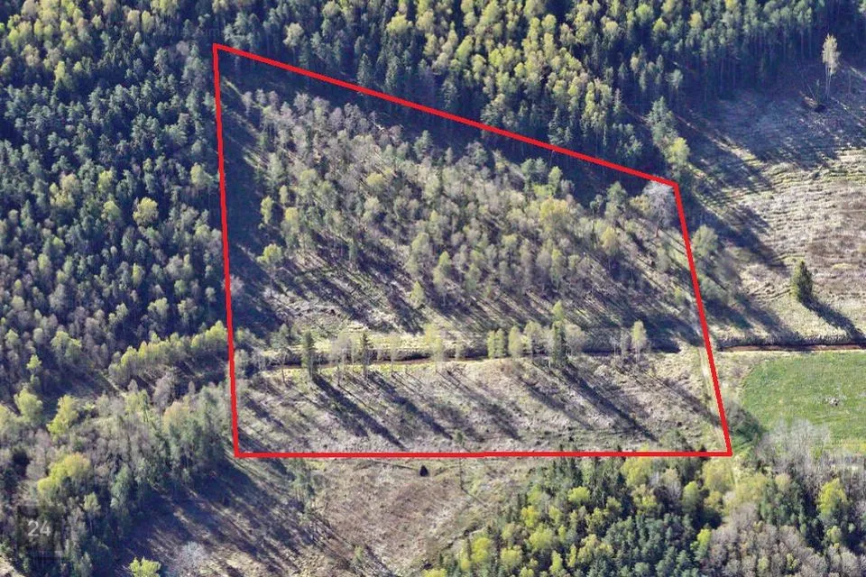 Maatulundusmaa, 26005 m² участок в Elva vald, Rannaküla