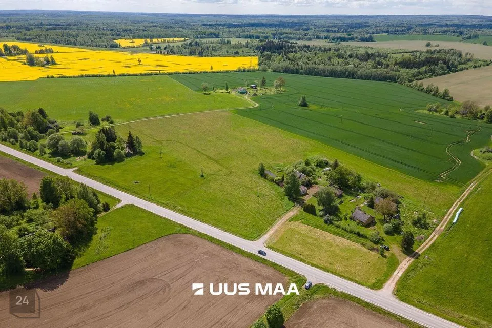 Maatulundusmaa, 122087 m² Maa  -  Mustvee vald, Ulvi küla - foto 4