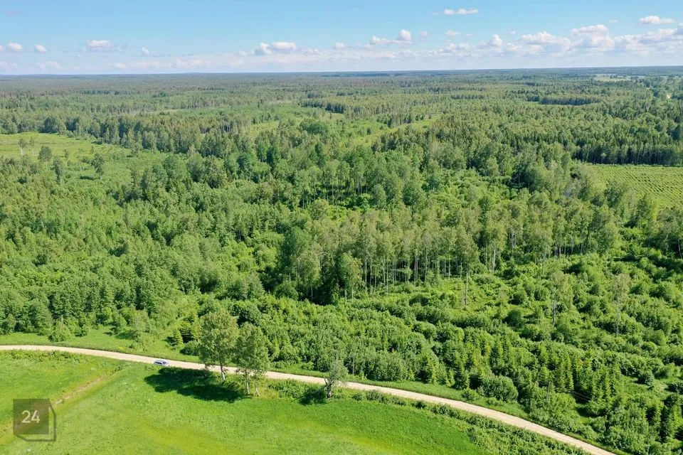 Maatulundusmaa, 38074 m² Maa  -  Järva vald, Jõeküla - foto 3