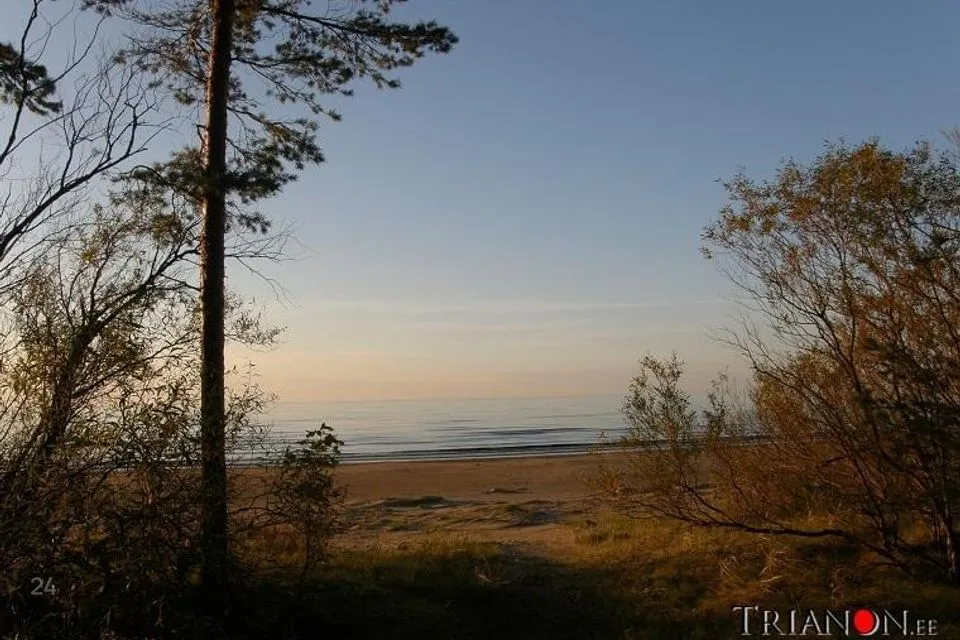 Residential land, 10657 m² land in Narva-Jõesuu linn, Narva-Jõesuu linn - photo 5