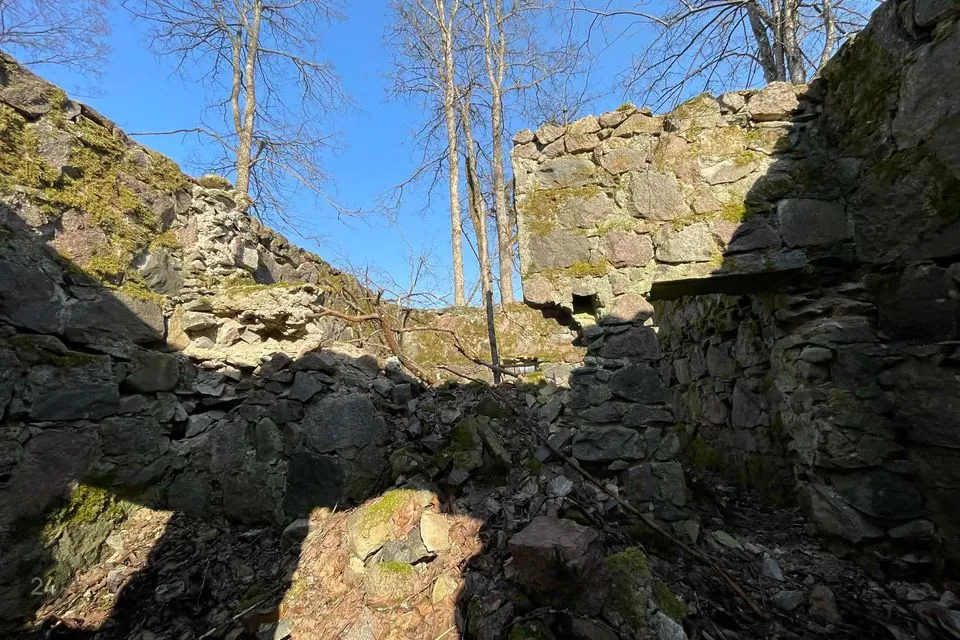 Maatulundusmaa, 14005 m² участок в Põhja-Sakala vald, Tällevere küla - фото 4